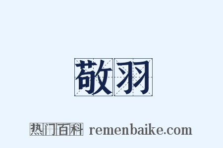 敬羽是什么意思的图片